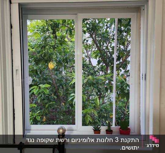 חלון אלומיניום עם מסגרת לבנה